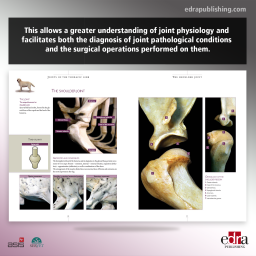 Atlas of canine arthrology. First Edition - book cover - veterinary book - JESÚS LABORDA VAL