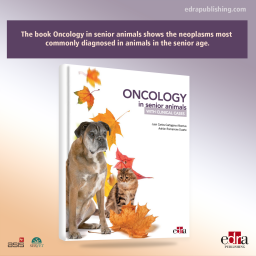 Oncology in senior animals
with clinical cases - book details - veterinary book