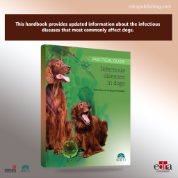 Infectious diseases in Dogs. Practical Guide - Veterinary book - cover book - Rafael Ruiz de Gopegui Fernández