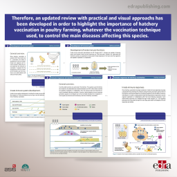 Hatchery Vaccination. Main challenges in poultry farming - Veterinary book - cover book - 
MOHAMED FAIZAL ABDUL-CAREEM