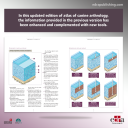 Atlas of canine arthrology. Updated edition with 3d animations - Veterinary book - cover book - 9788417640750