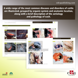 Atlas of Bovine Pathology - Veterinary book - cover book - Keith Cutler