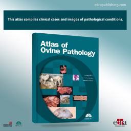 Atlas of Ovine Pathology - Veterinary book - cover book - Pathology - 9788494040290