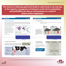 Hoof diseases. Essential Guides on Cattle Farming - Veterinary book - cover book - Adrián González Sagüés