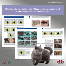 Feline Ophthalmology. The Manual - Veterinary Book - Veterinary Manual - 9788416315116