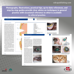 Feline Ophthalmology. The Manual - Veterinary Book - Veterinary Manual - 9788416315116