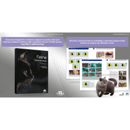 Feline Ophthalmology. The Manual - Veterinary Book - Veterinary Manual - 9788416315116