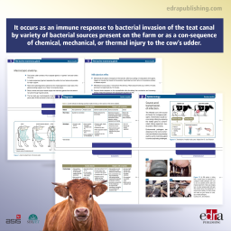 Bovine Mastitis. Essential Guides on Cattle Farming - book info - veterinary book