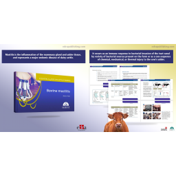 Bovine Mastitis. Essential Guides on Cattle Farming - book info - veterinary book