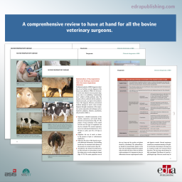 Bovine respiratory disease - Veterinary book - cover book - Juan Vicente Gonzalez - Natividad Perez